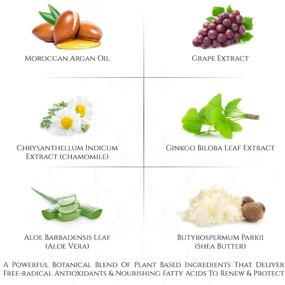 Predire Paris Daily Hydrating Moisturizer- Vitamin E and A Boosting - Picture 13 of 13